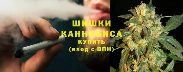 крисы Липки