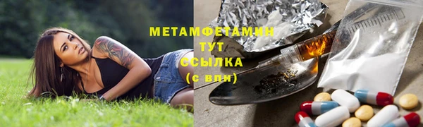 крисы Липки