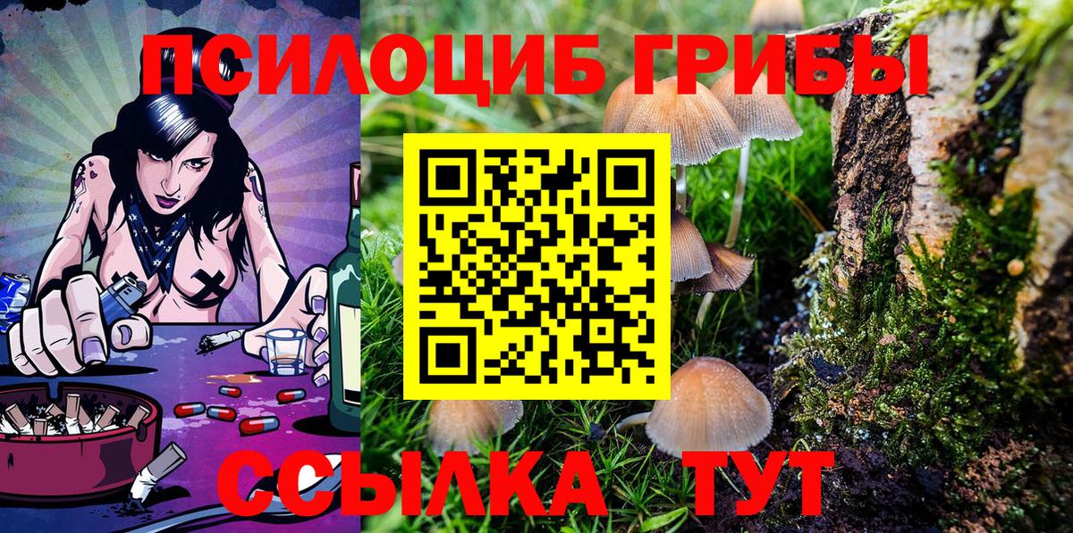 Магнитогорск  Псилоцибиновые грибы MAGIC MUSHROOMS  Галлюциногенные грибы ЛСД  купить   Вход с VPN 