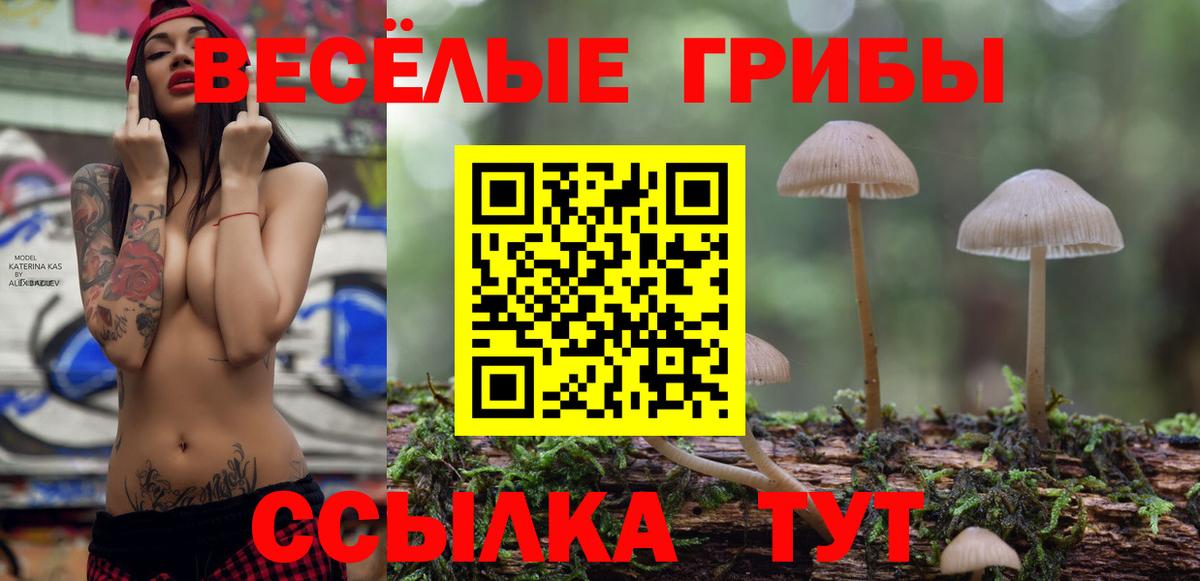 Галлюциногенные грибы ЛСД Магнитогорск